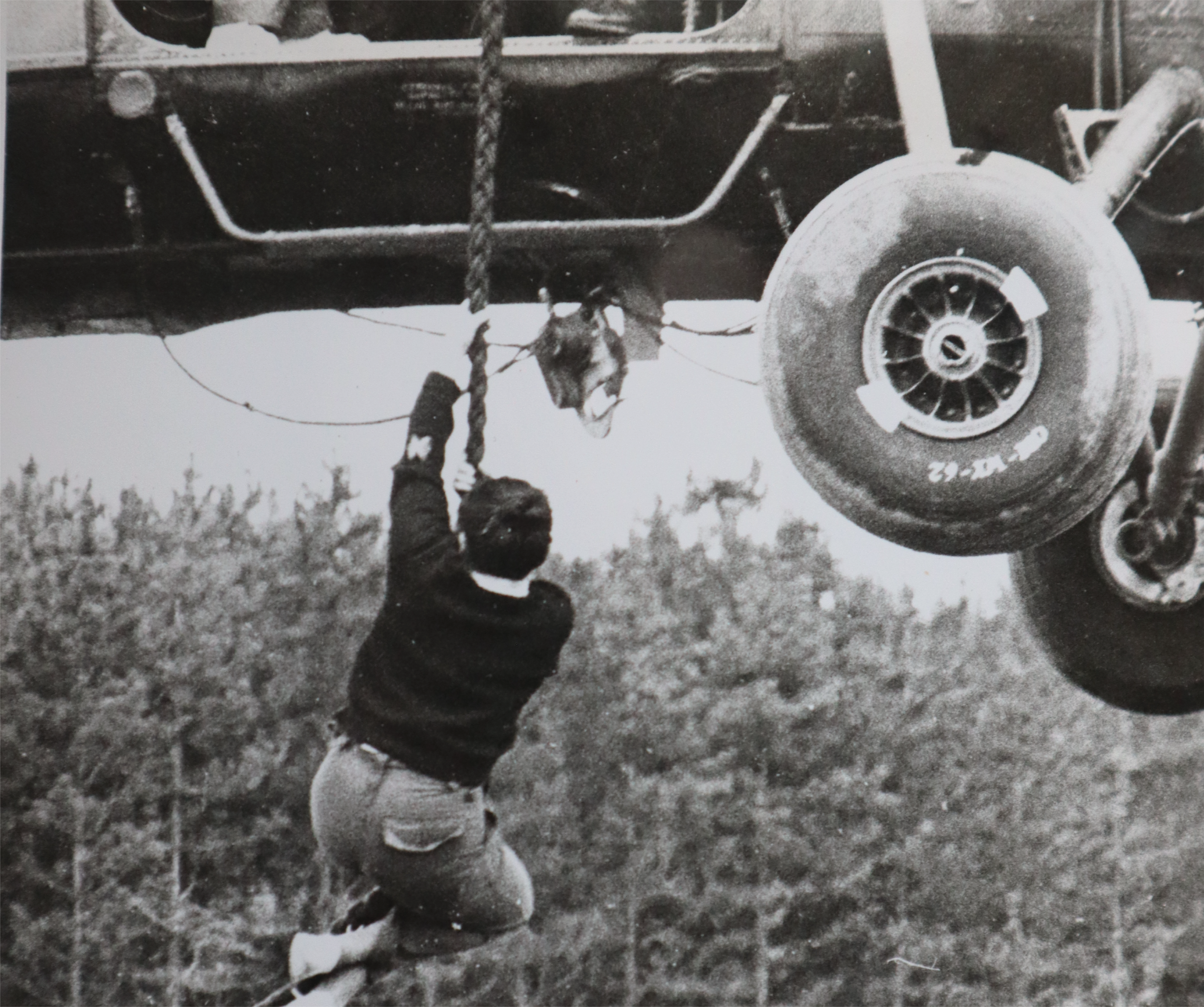 Greenfinch hanging on a rope outside of a helicopter