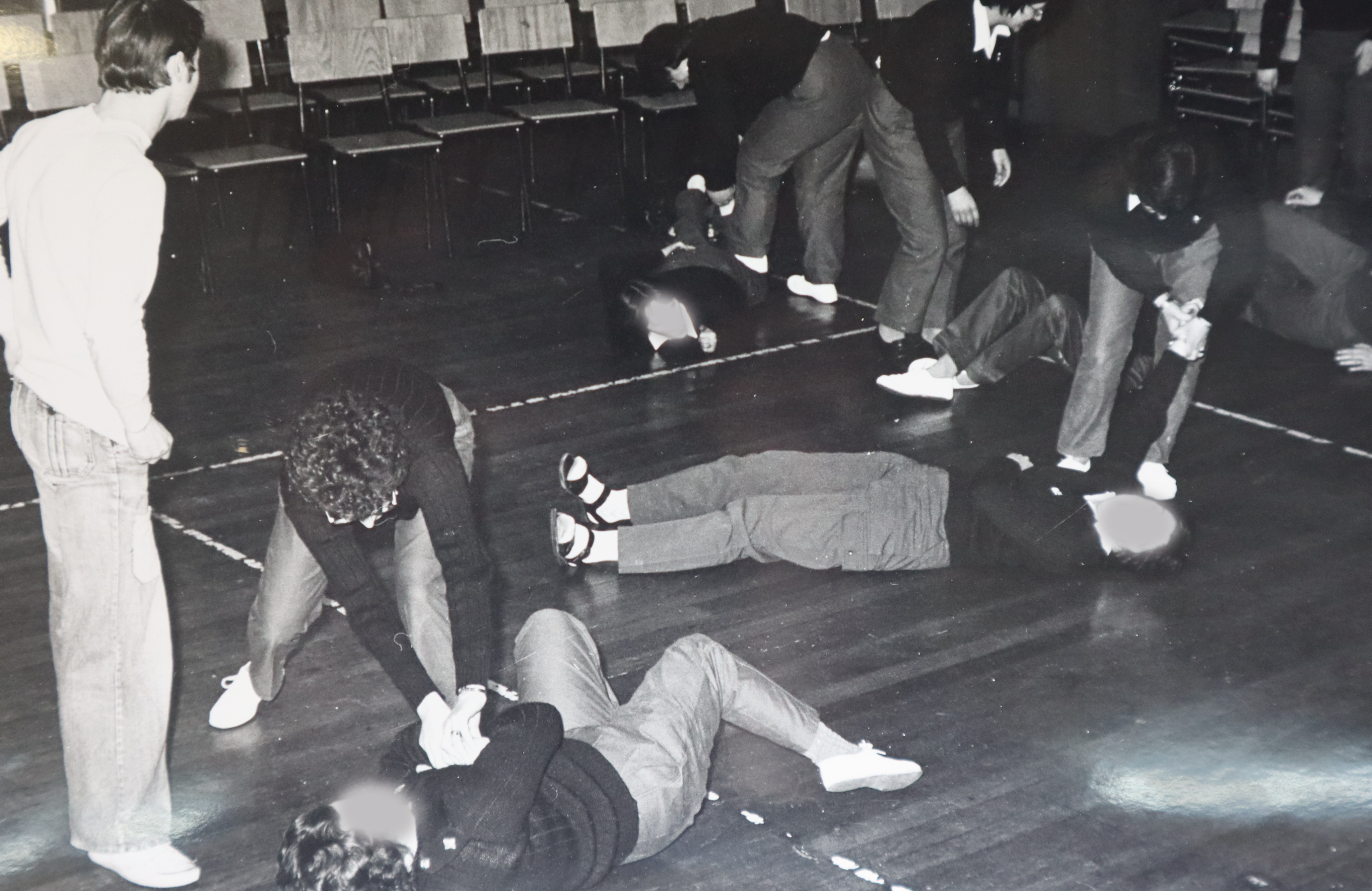 Group of Greenfinches learning martial arts